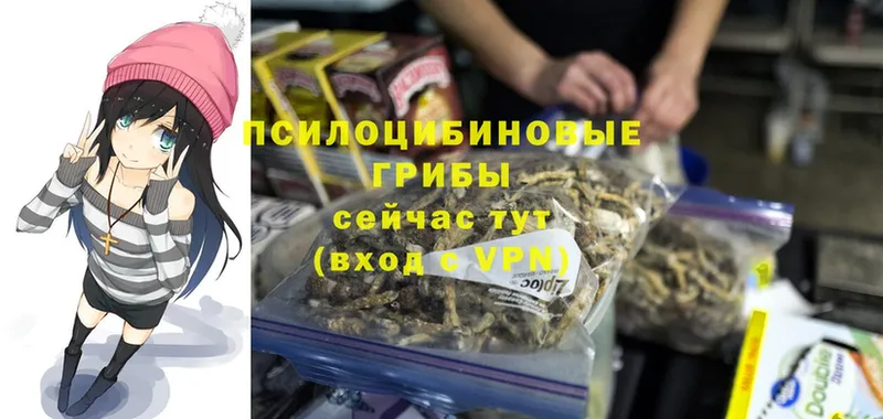 Галлюциногенные грибы Psilocybine cubensis  где купить наркотик  Коломна 